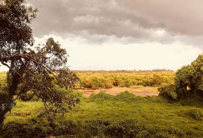 استراحتگاه Monarch Suites