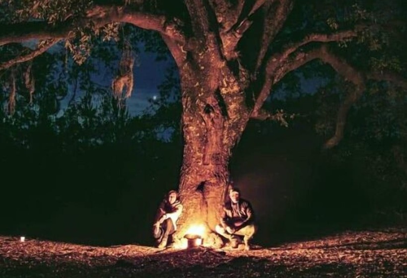 فندق Bosque Magico