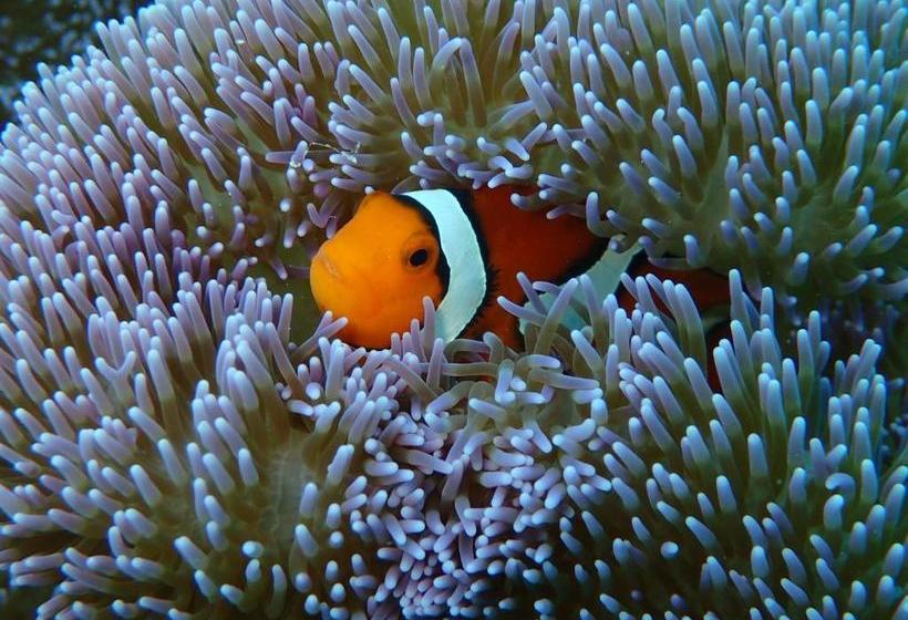 فندق Canaan Coffee &