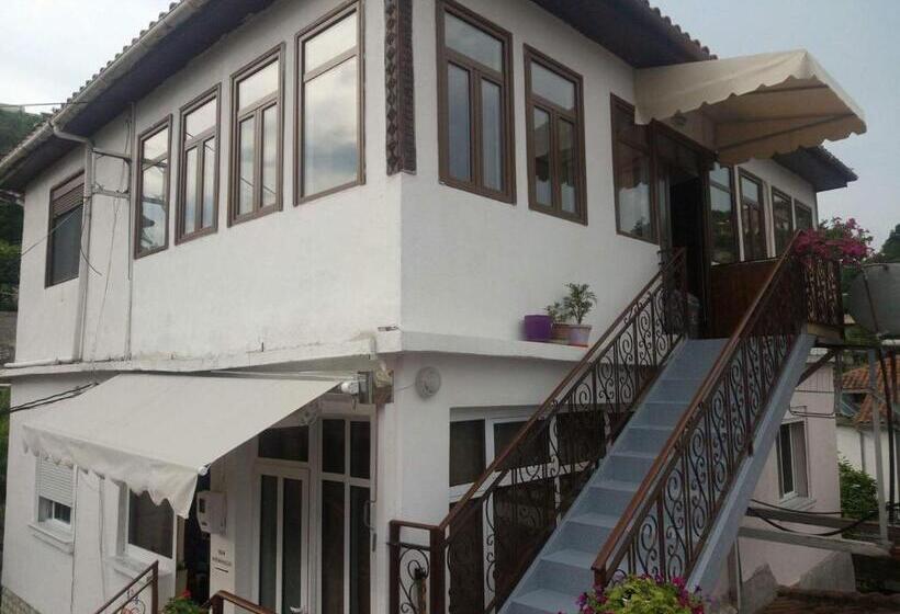 B&bsheshalliu