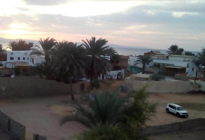 هاستل Tarbouche House Dahab