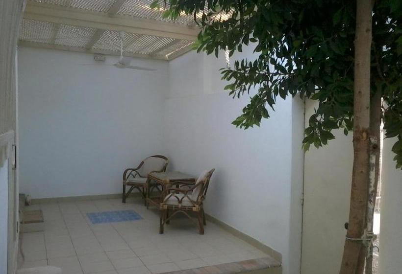 هاستل Tarbouche House Dahab