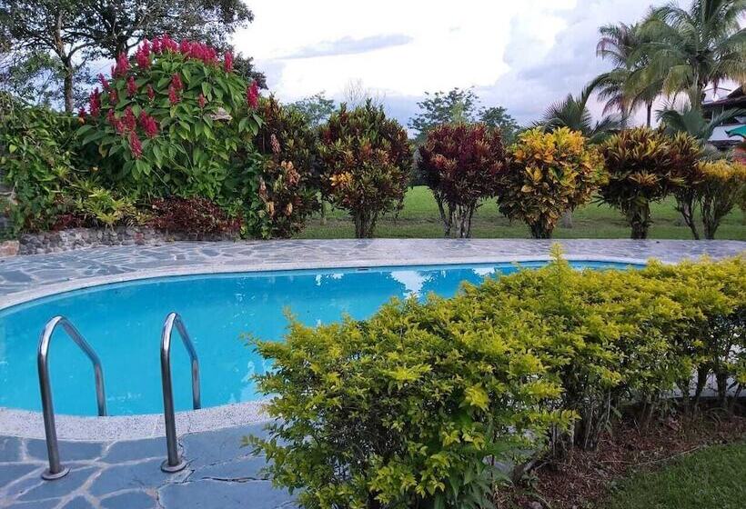 تختخواب و صبحانه Del Campo