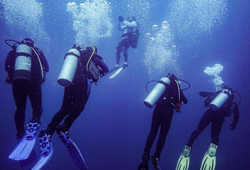 Casa Barca Taganga Hostel