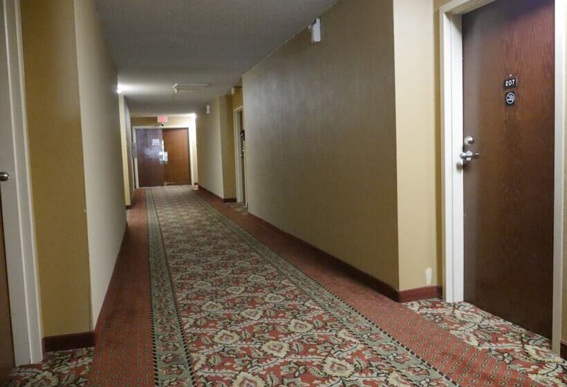 住宿加早餐  Motel Sun Inn