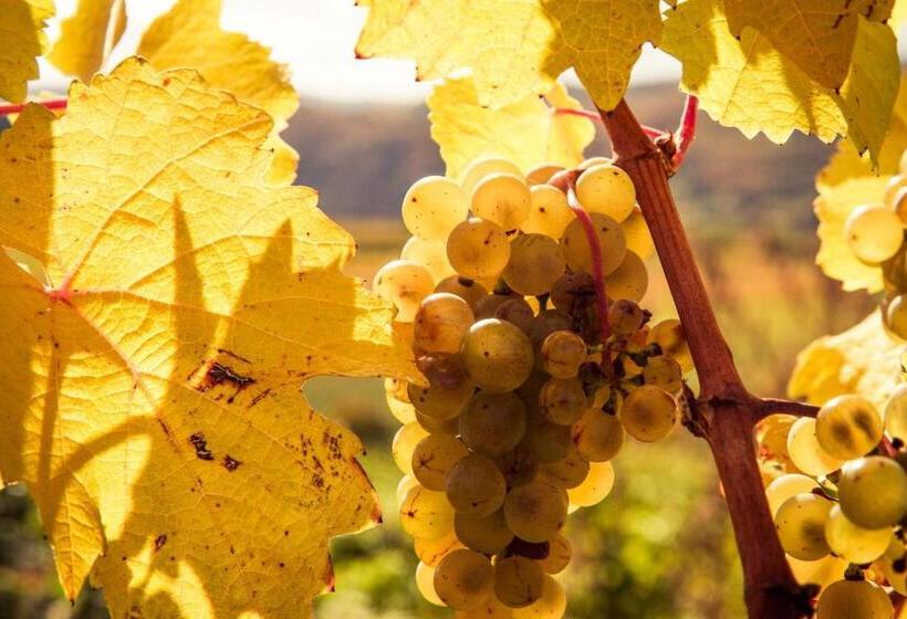 צימר Weinberghof Ilkerl Luf