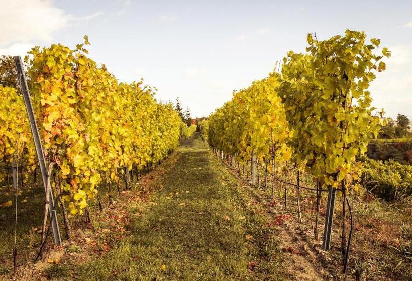 צימר Weinberghof Ilkerl Luf