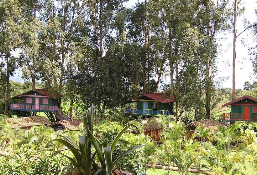 هتل Karlaká Calarcá Quindio   Eje Cafetero