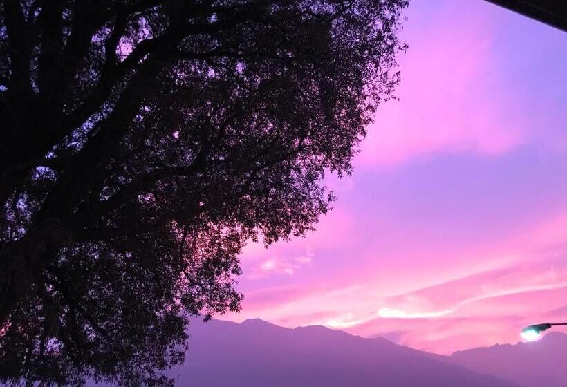Bed And Breakfast L'albero Maestro