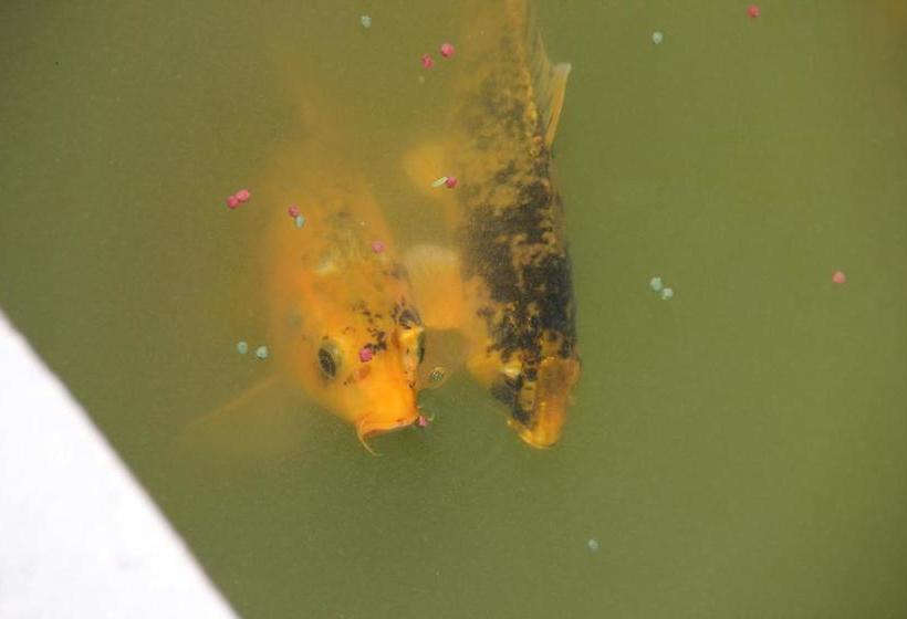 ホテル Allianto Boutique