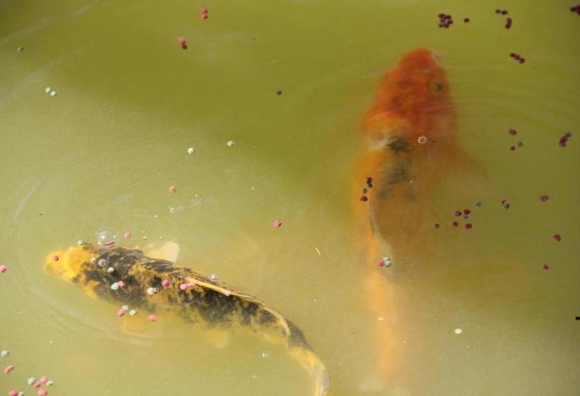 ホテル Allianto Boutique