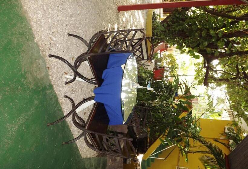 تختخواب و صبحانه Laura S House