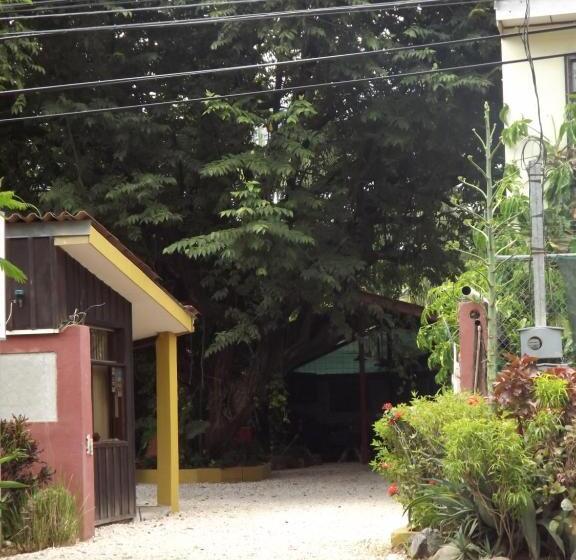 تختخواب و صبحانه Laura S House