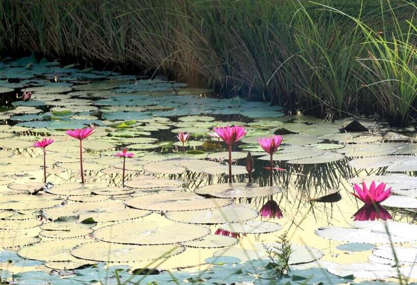 リゾートホテル Niraamaya Wellness Retreats Backwaters And Beyond Kumarakom