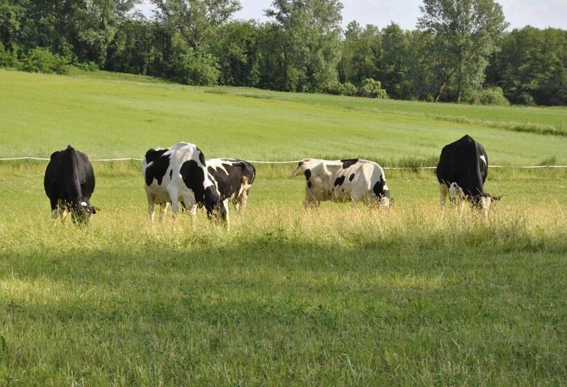 مبيت وإفطار Agriturismo Cascina Selva