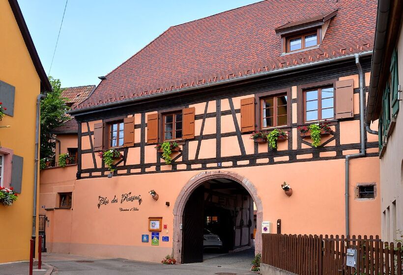 B&b Le Clos Des Raisins