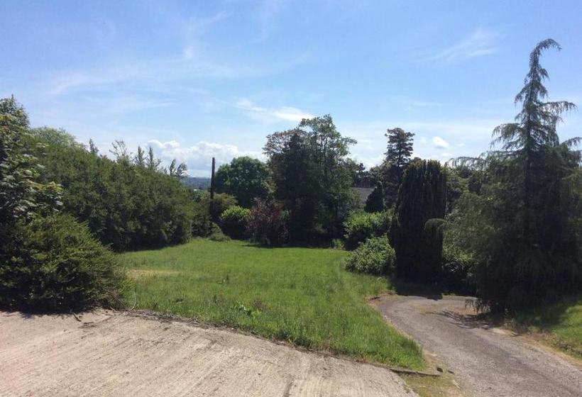 ベッドアンドブレックファースト Coach House Suites