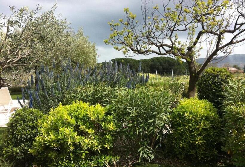 酒店 Auberge De L Oumède