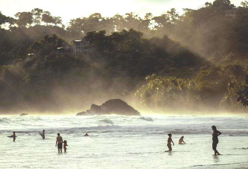 هتل Selina Manuel Antonio   Hostel