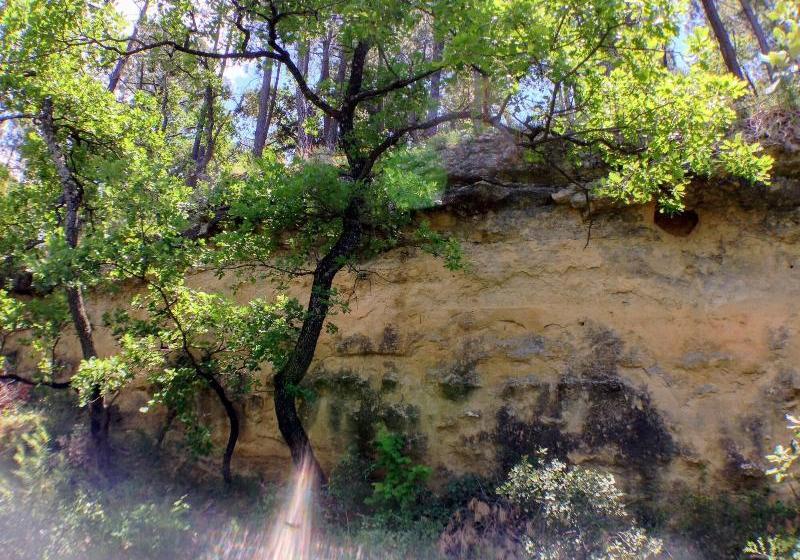 ベッドアンドブレックファースト Les Maquinols Estate