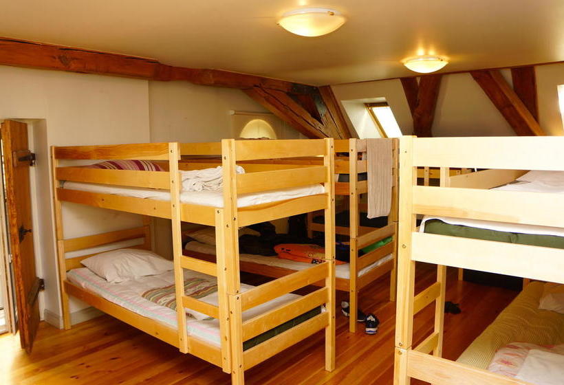 Doma Hostel