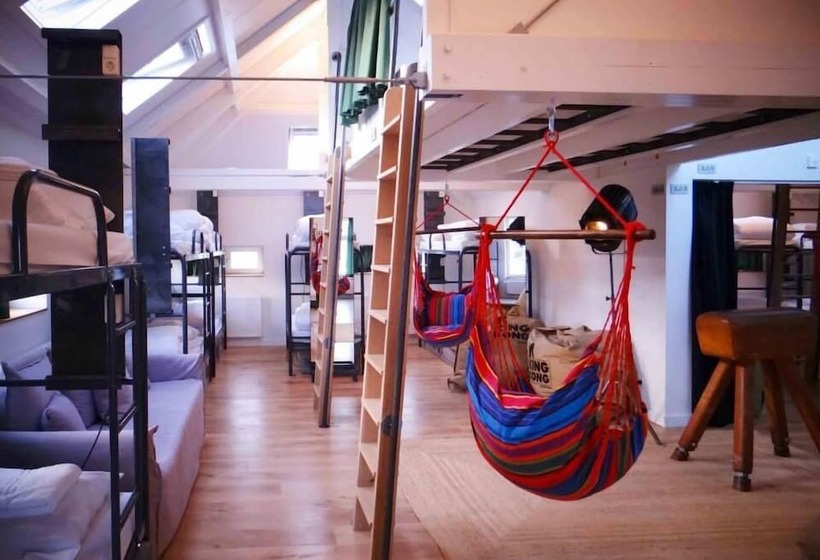 King Kong Hostel