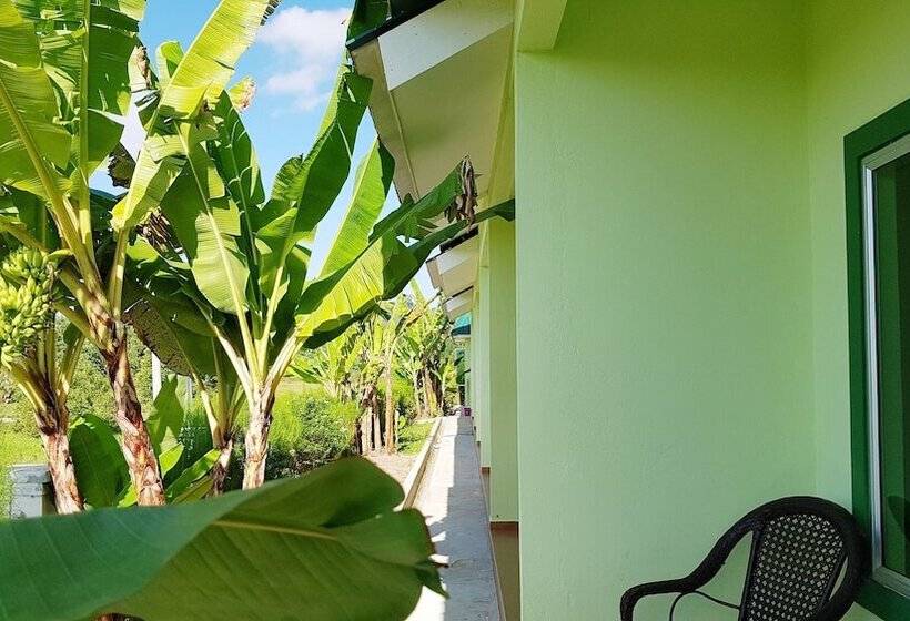 هتل Casa Cenang Resort Tok Bidin Langkawi