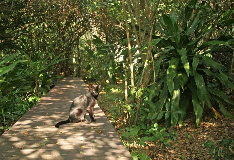 فندق Vista Alta Lodge