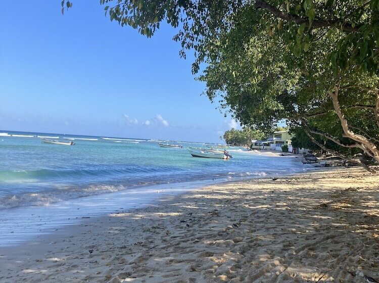 Restorations Tobago