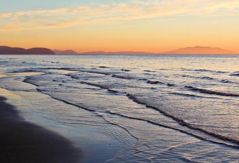 Le Dune Ground Floor Apartments   Futura Cav