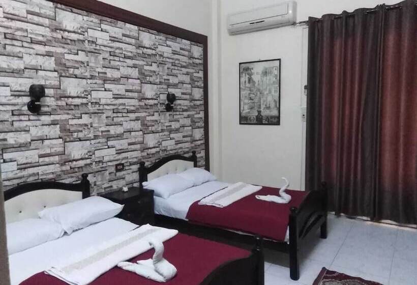 هاستل New Palace