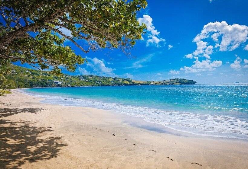 Bequia Beach Hotel   Luxury Boutique Resort