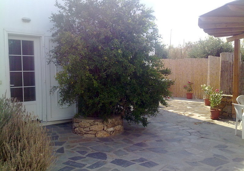 בית מלון כפרי Aphrodite Garden Studios & Olympia Anex