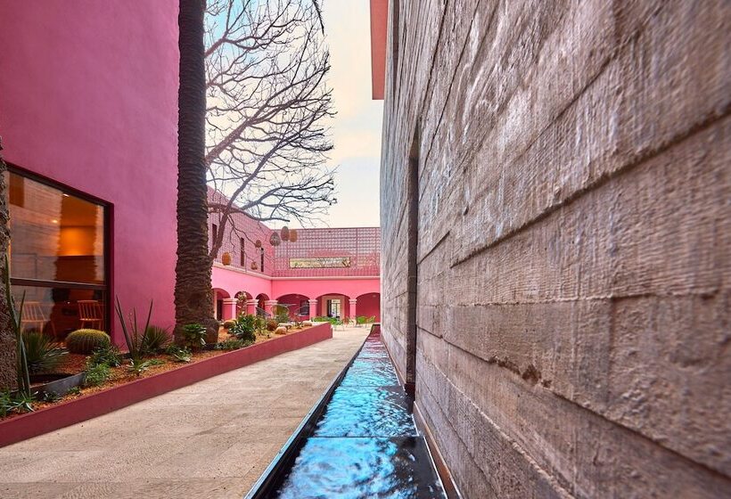 هتل City Centro By Marriott Oaxaca