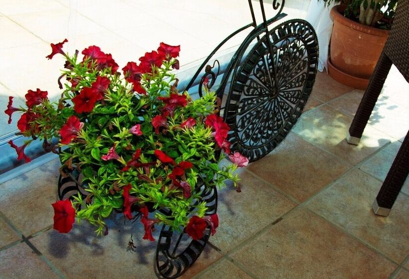 فندق Olive Grove