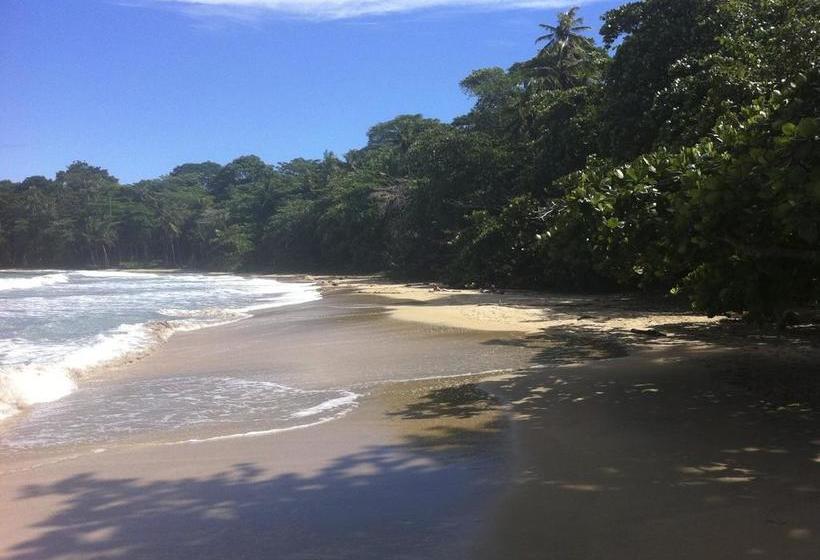 استراحتگاه Samasati Retreat And Rainforest Sanctuary