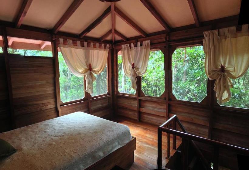 استراحتگاه Samasati Retreat And Rainforest Sanctuary