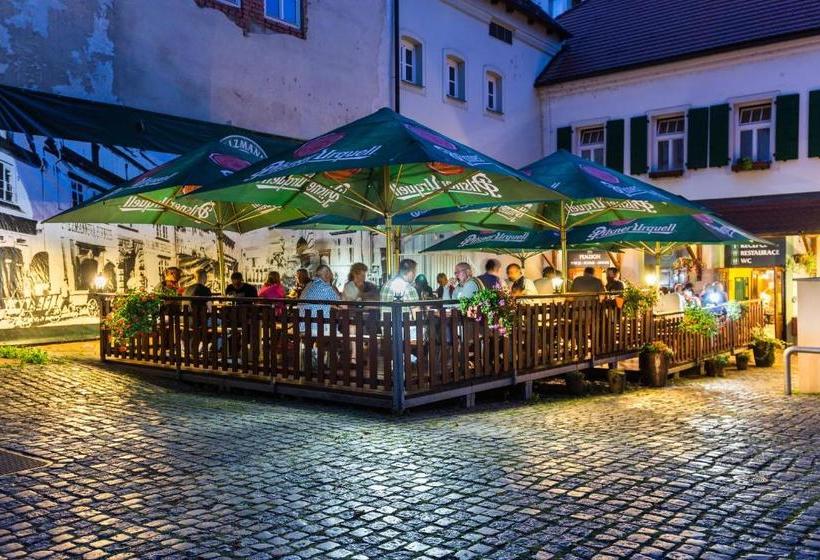 پانسیون U Salzmannů