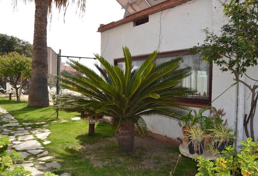 הוסטל Hostal Casa Torrent
