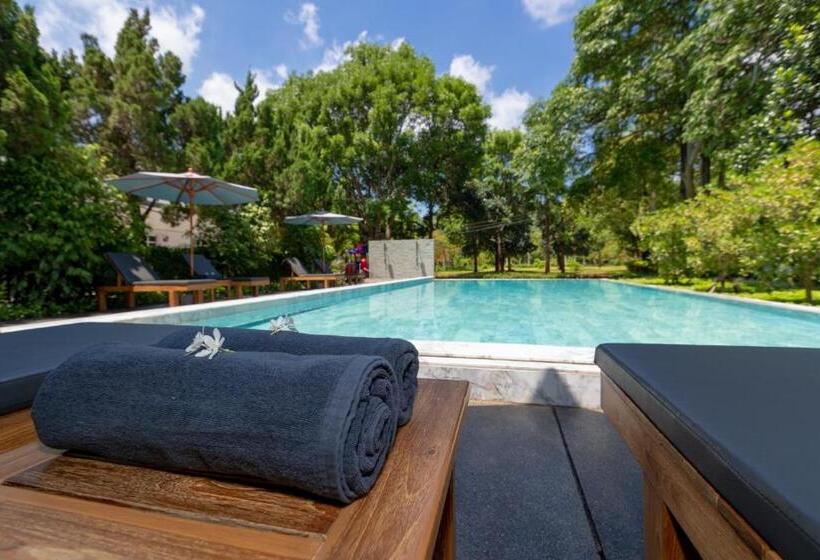 Diamond Hill Resort