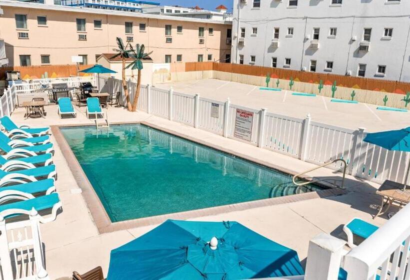 هتل Buttercup Suites