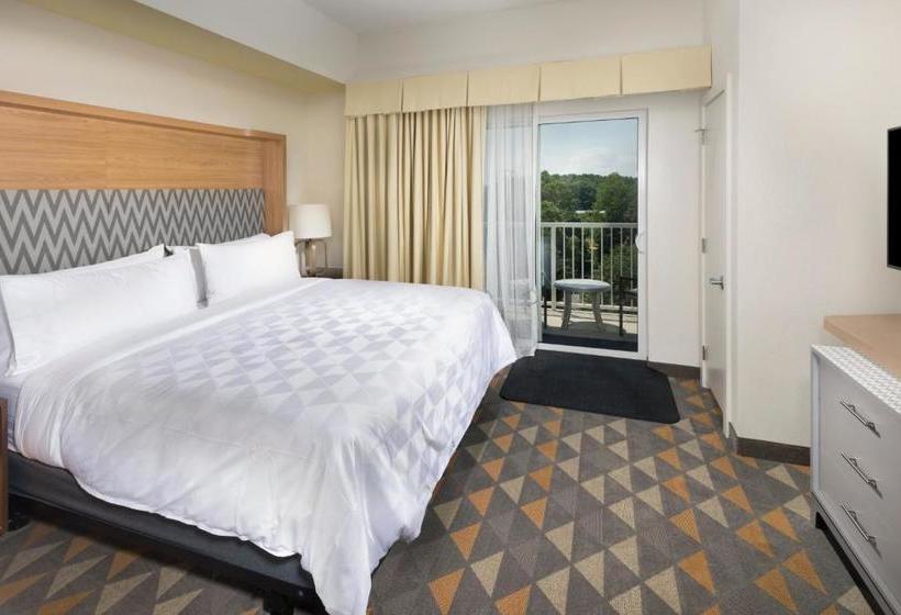 Hotel Holiday Inn  & Suites Arden  Asheville Airport