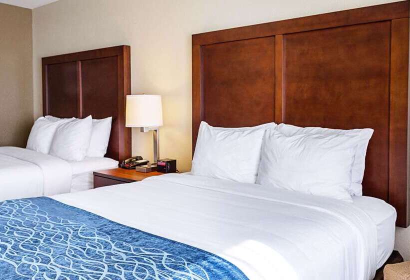 هتل Comfort Inn & Suites Niagara Falls Blvd Usa