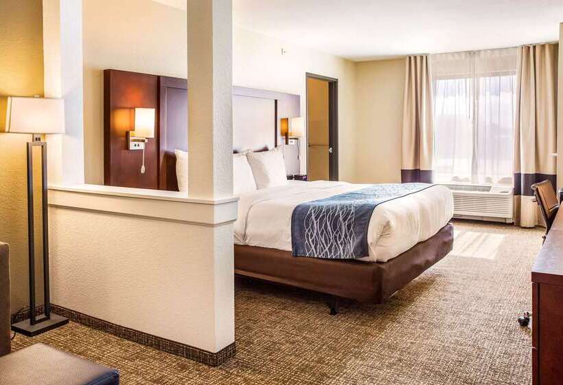 هتل Comfort Inn & Suites Niagara Falls Blvd Usa