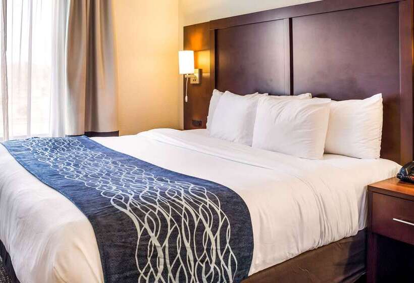 هتل Comfort Inn & Suites Niagara Falls Blvd Usa