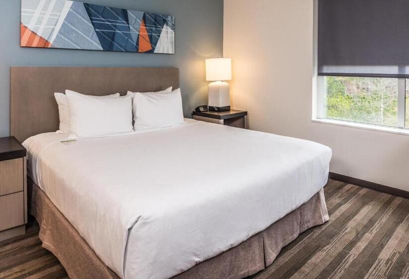 ホテル Hyatt House Raleigh/rdu/brier Creek