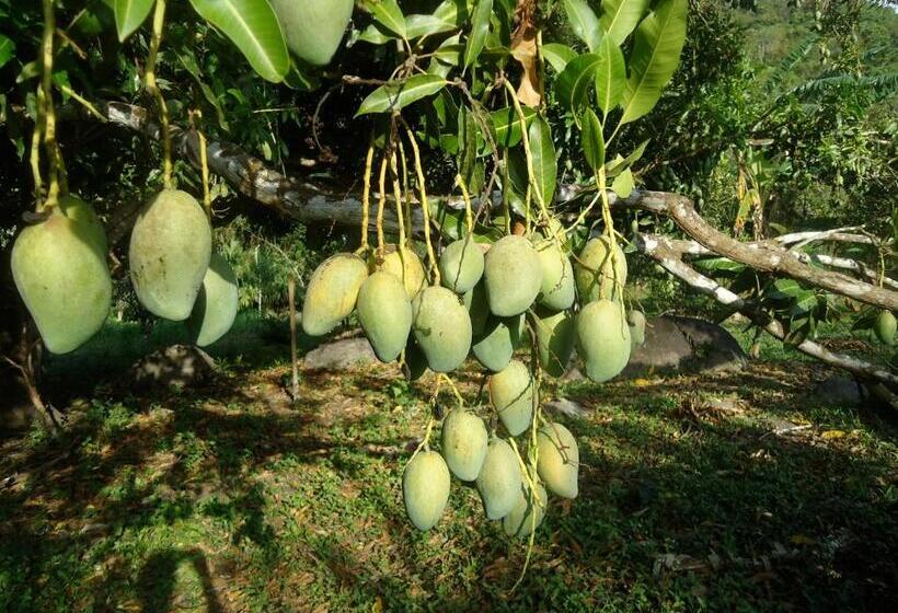 هاستل Finca Carpe Diem Ecolodge