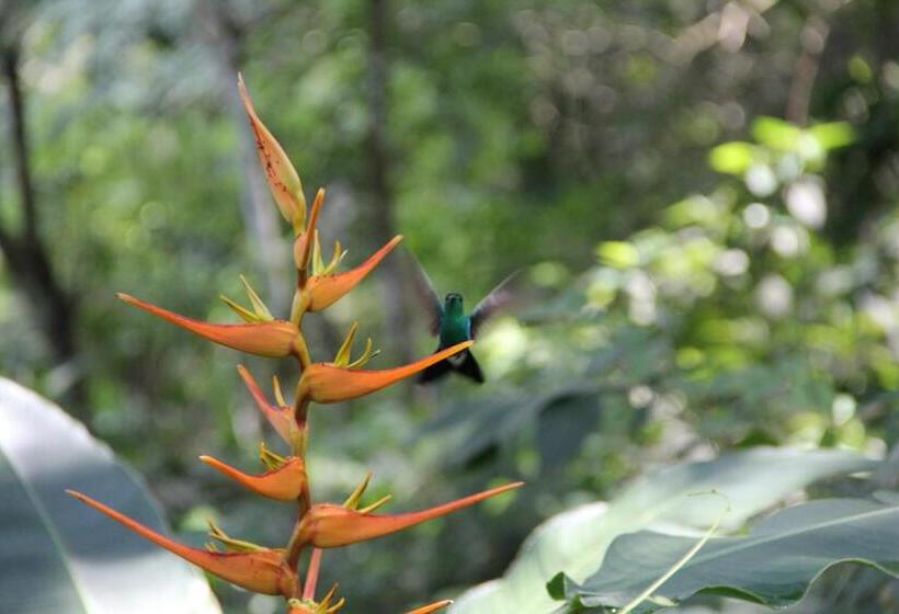 هاستل Finca Carpe Diem Ecolodge
