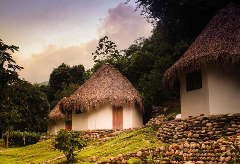 هاستل Finca Carpe Diem Ecolodge