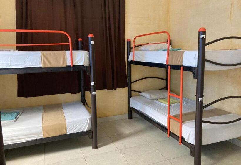 فندق صغير Hostal La Ermita